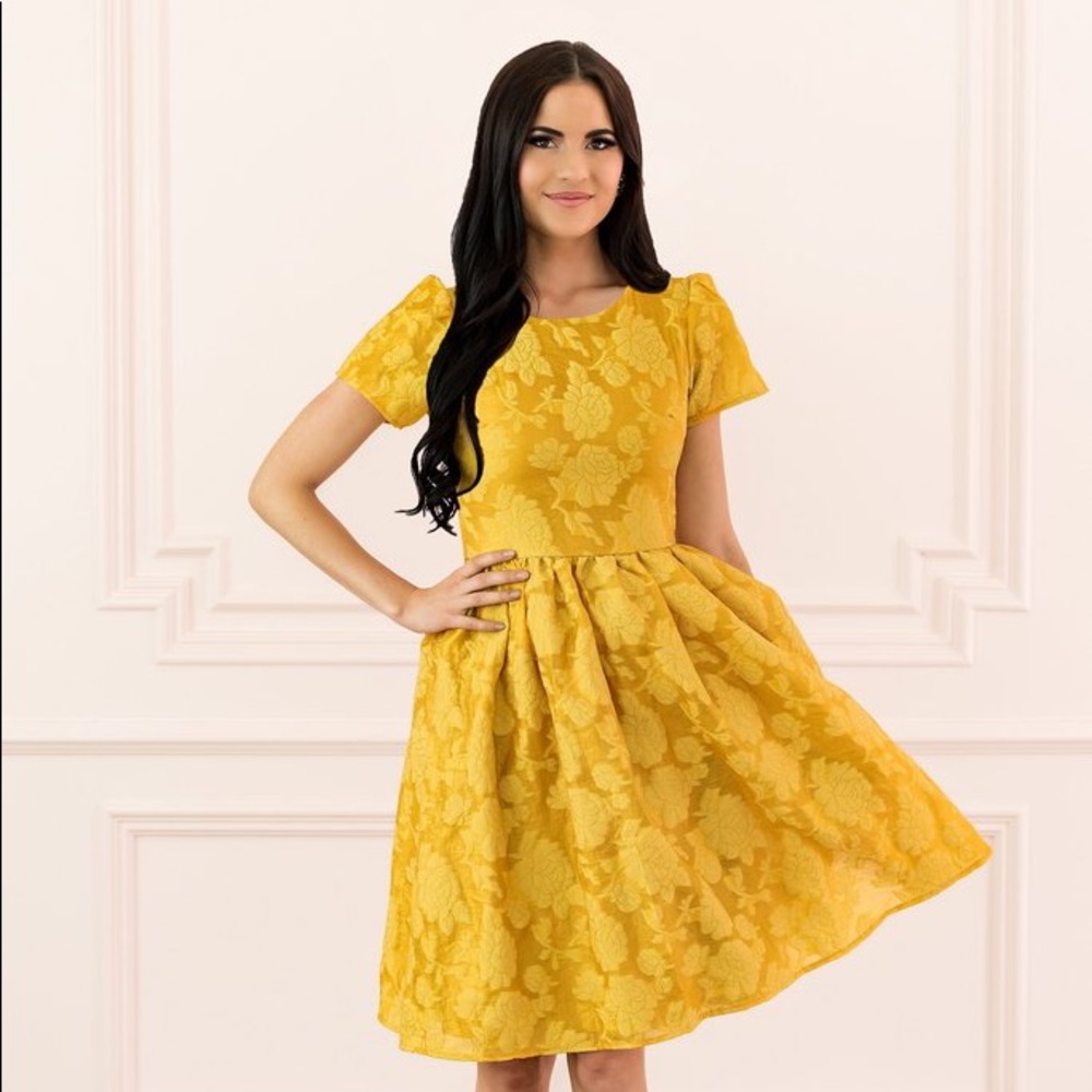 NWT Rachel Parcell Floret Organza Dress in Hazel
